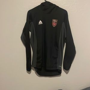 Phoenix Rising jacket